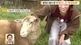 [Image] Weather forecaster Haruka Imai bends forward and flickers cleavage happen in Good Morning!