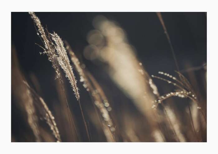 JP Satsuki Mei 沙月芽衣 - 写真集 芽ばえちゃう Wunder Publishing House Part04 (67P) 53th image