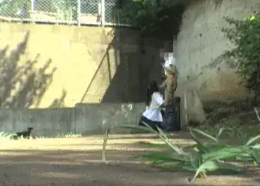50 outdoor erotic GIF images I collected JKs and gals who are sucking cocks deliciously outside 17th image