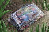 Showa brat "Hahaha... I finally found an erotic book (busaiku) in the river!!" →This was abnormal, wasn't it?