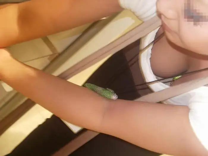 142 Secretly Filmed Erotic Images of Store Clerks' Chests: Hidden Photos of Shoe Store and Shop Clerks' Nipples Visible, Collected 47th image