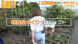 グッドモーニングで住田紗里アナがむっちりパン線くっきり尻を晒す
